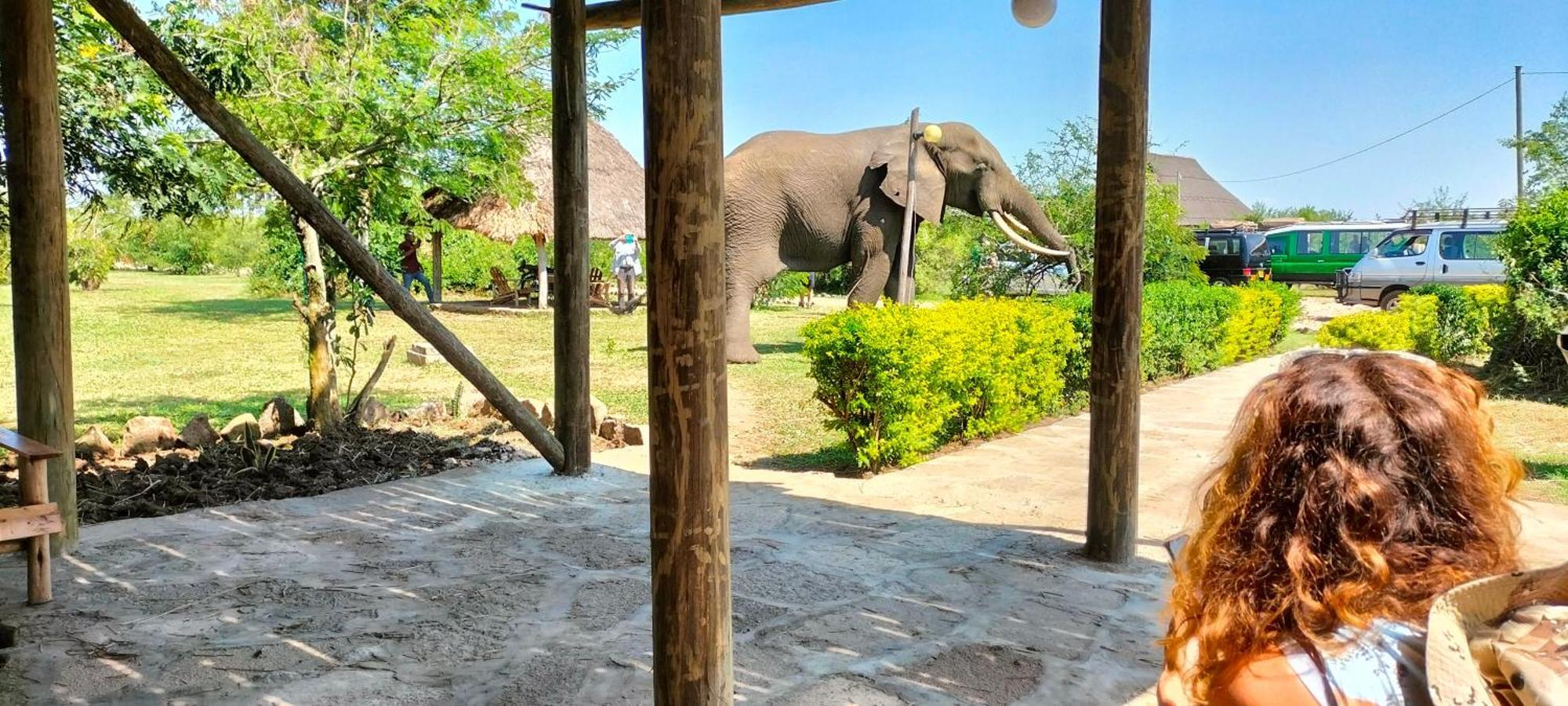 Engiri Game Lodge And Campsite Katunguru Exterior foto