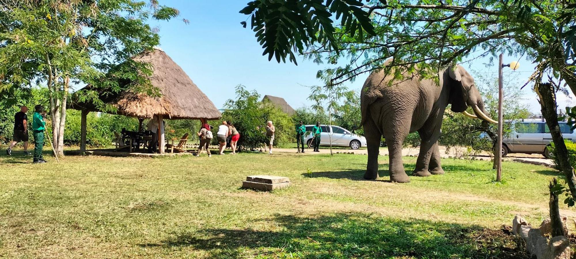 Engiri Game Lodge And Campsite Katunguru Exterior foto