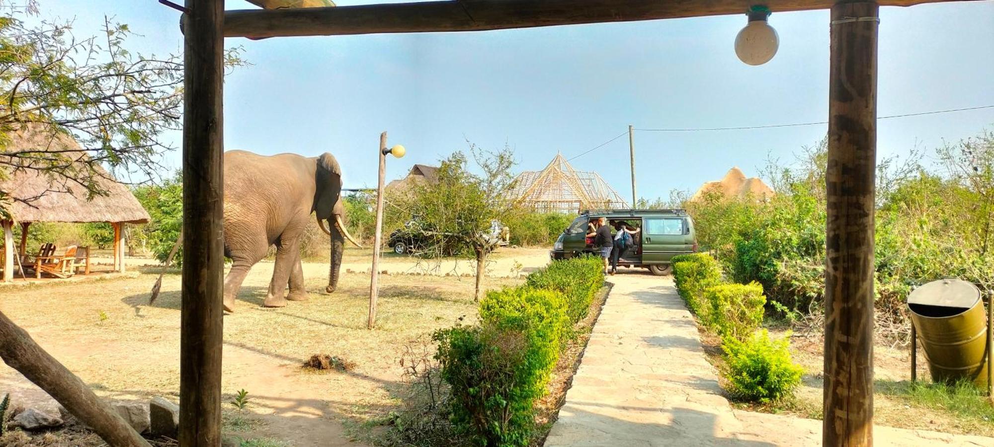Engiri Game Lodge And Campsite Katunguru Exterior foto